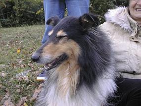 pic00006