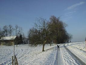 pic00039