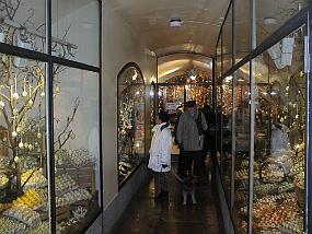 pic00023