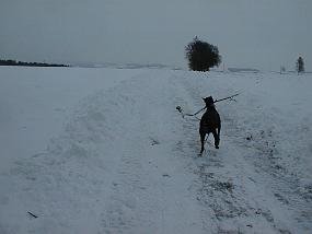 pic00036