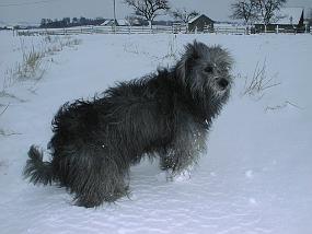 pic00044