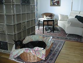 pic00065