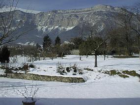 pic00078