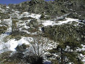pic00012