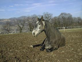 pic00003