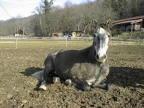 pic00005