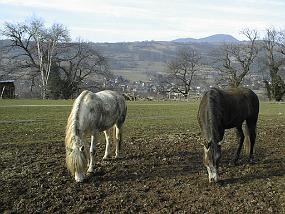 pic00018