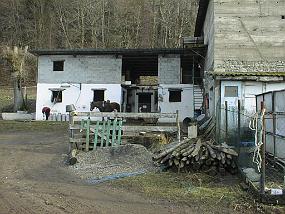 pic00021