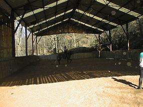 pic00019