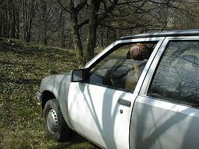 pic00001