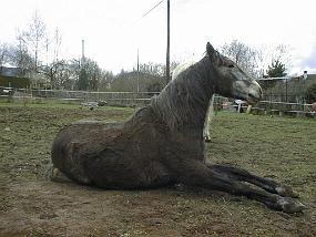 pic00007
