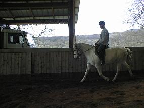 pic00004