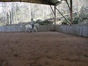pic00007