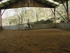 pic00010