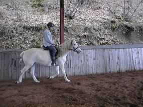 pic00012