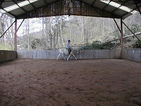 pic00013