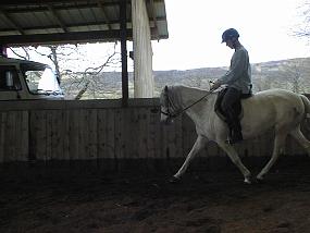 pic00019
