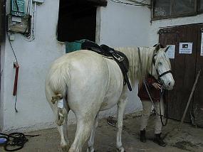 pic00022