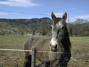 pic00023