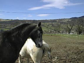 pic00024
