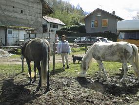 pic00002