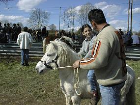 pic00009