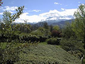 pic00001