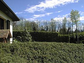 pic00002
