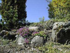 pic00003