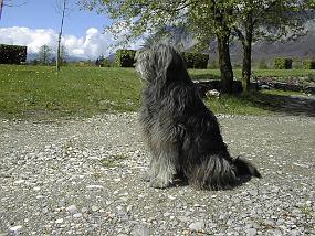 pic00013