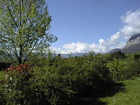 pic00015