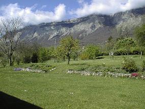 pic00018