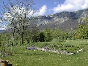pic00019