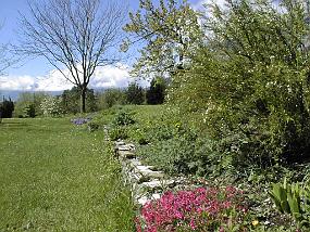 pic00021