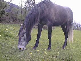 pic00020