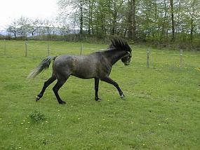 pic00028