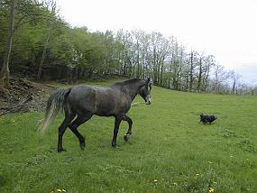 pic00033