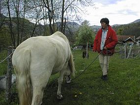 pic00038