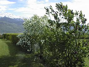 pic00002