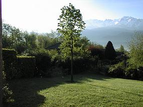 pic00008