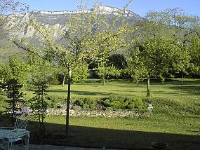 pic00010