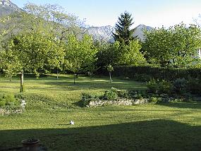 pic00011