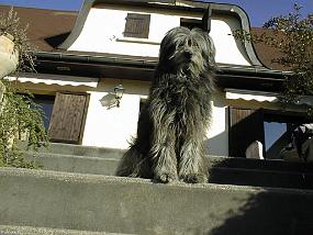 pic00017