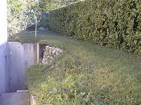 pic00024