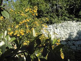 pic00031