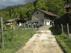 pic00007
