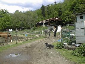 pic00008
