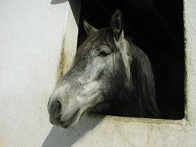 pic00016