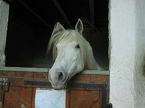 pic00019
