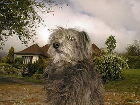 pic00007